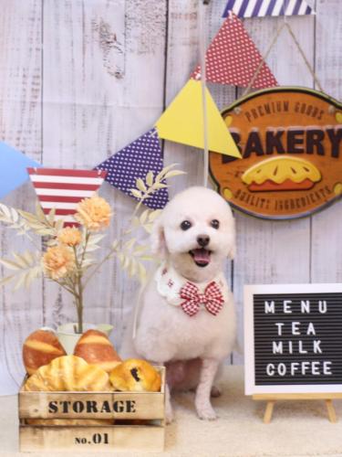 20240907ふぁるくん